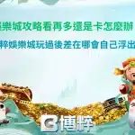 娛樂城攻略新手入門指南,整理平台挑選重點、優惠機制與常見玩法解析。